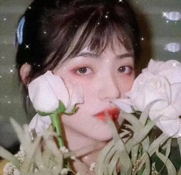 美人鱼